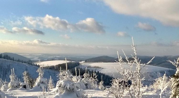 Landhotel Flora & Fauna (Adults Only) Winterberg Exterior foto